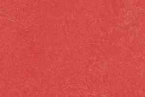 Линолеум Forbo Marmoleum Decibel on Order 326335 rose фото  | FLOORDEALER